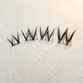 Bird of Paradise Self-adhesive